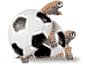 WM-2006 Ballproduktion