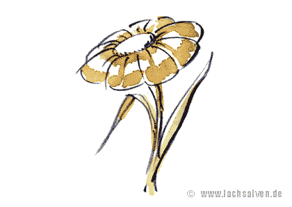 Blume