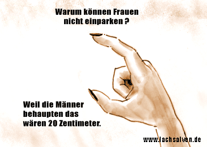 Witzbild: Frauen einparken