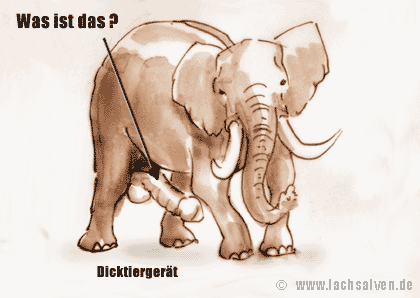 Witzbild: Elefant Diktiergerät