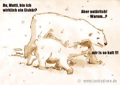 Eisbär Schnee Kälte