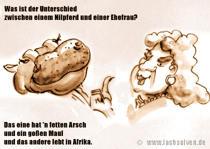 Witzbild: Vergleich Nilpferd Ehefrau 