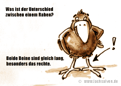 Witzbild: Rabe Beine Unterschied