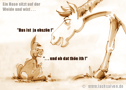 Hase Weide Pferd