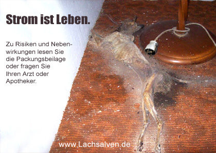 Strom, Leben, Lampe